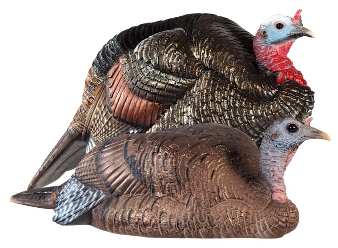 Dave Smith Decoys Breeding Pair Turkey Decoy Combo | Cabela's