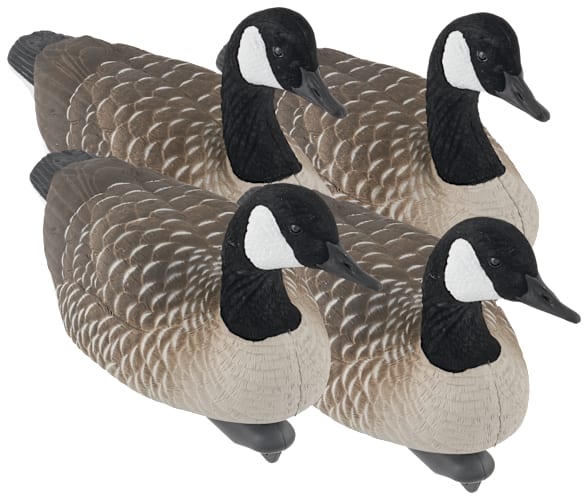 Northern Flight Big Spread Canada Goose Decoys Pack Cabela's