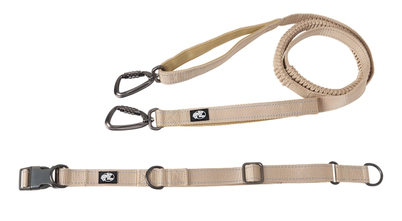 Bass Pro Shops Family Dog 5' Waist Belt Leash | Bass Pro Shops