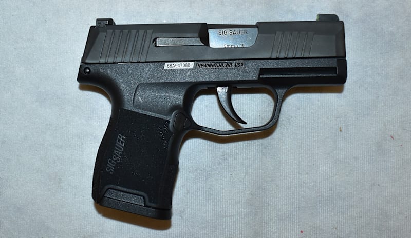 Sig Sauer ~ P365 ~ 9mm Luger