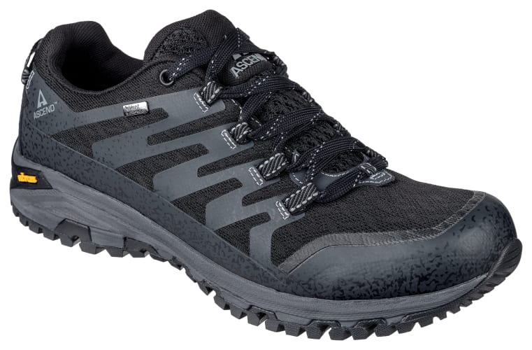 Ascend Approach II Low Waterproof Hiking Shoes for Men