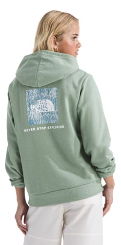 The North Face Evolution Box NSE Graphic Fill Hoodie | Cabela's
