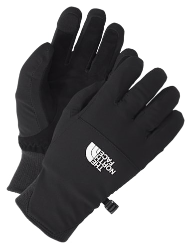 The North Face Shelbe Raschel E-Tip Gloves for Ladies Cabela's