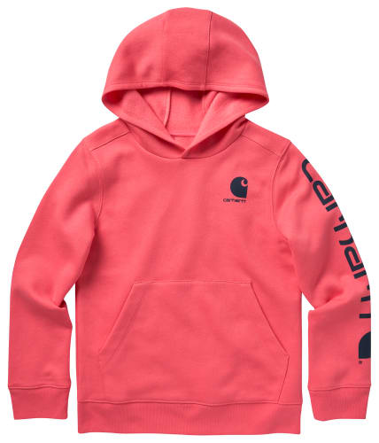 Carhartt Lightweight Graphic Long-Sleeve Hoodie for Kids Cabela's