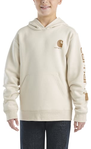Carhartt Graphic Long-Sleeve Hoodie for Kids