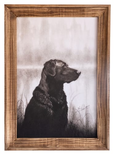 cole black label ショートボード cole black label ショートボード COLE surfboards | 太陽商店