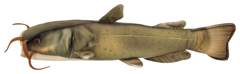 Bass Pro Shops Channel Catfish Stuffed Plush Cabela's