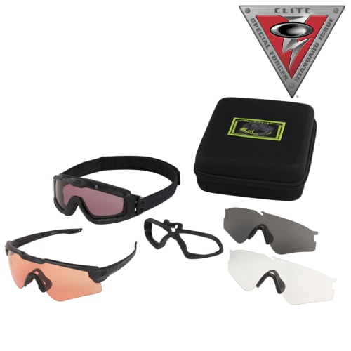 Standard Issue Ballistic M Frame® Alpha Array Clear Lenses