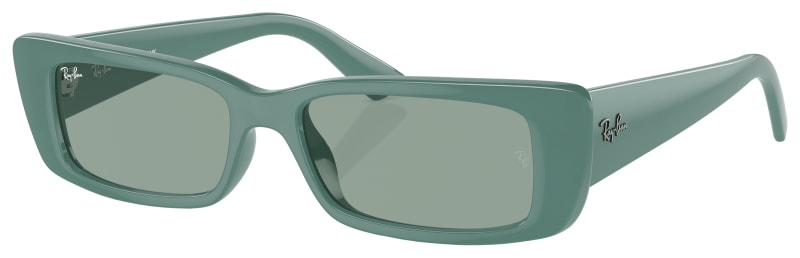 ま。さん専用Ray-Ban Teru RB4425 Sunglasses Ray-Ban™ Teru RB4425 Rectangle Sunglasses | EyeOns.com