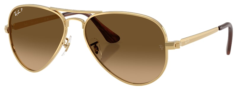 Ray-Ban Aviator Max RB3925 Gradient Glass Polarized Sunglasses