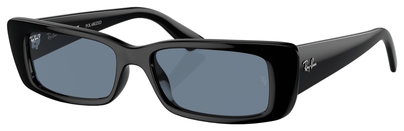 Ray-Ban Teru Bio-Based RB4425 Polarized Sunglasses | Cabela's