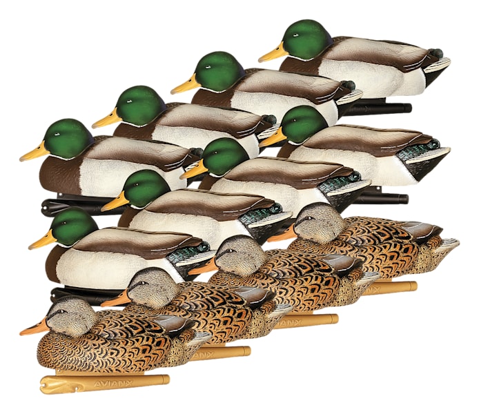 Avian-X Late Season Flocked Mallard Decoys 12-Pack