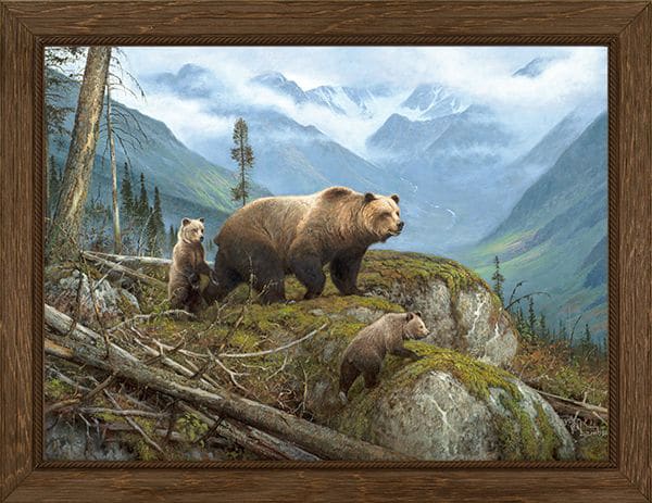 Rocky Mountain Publishing Griz Country Canvas Giclee by Hayden Lambson