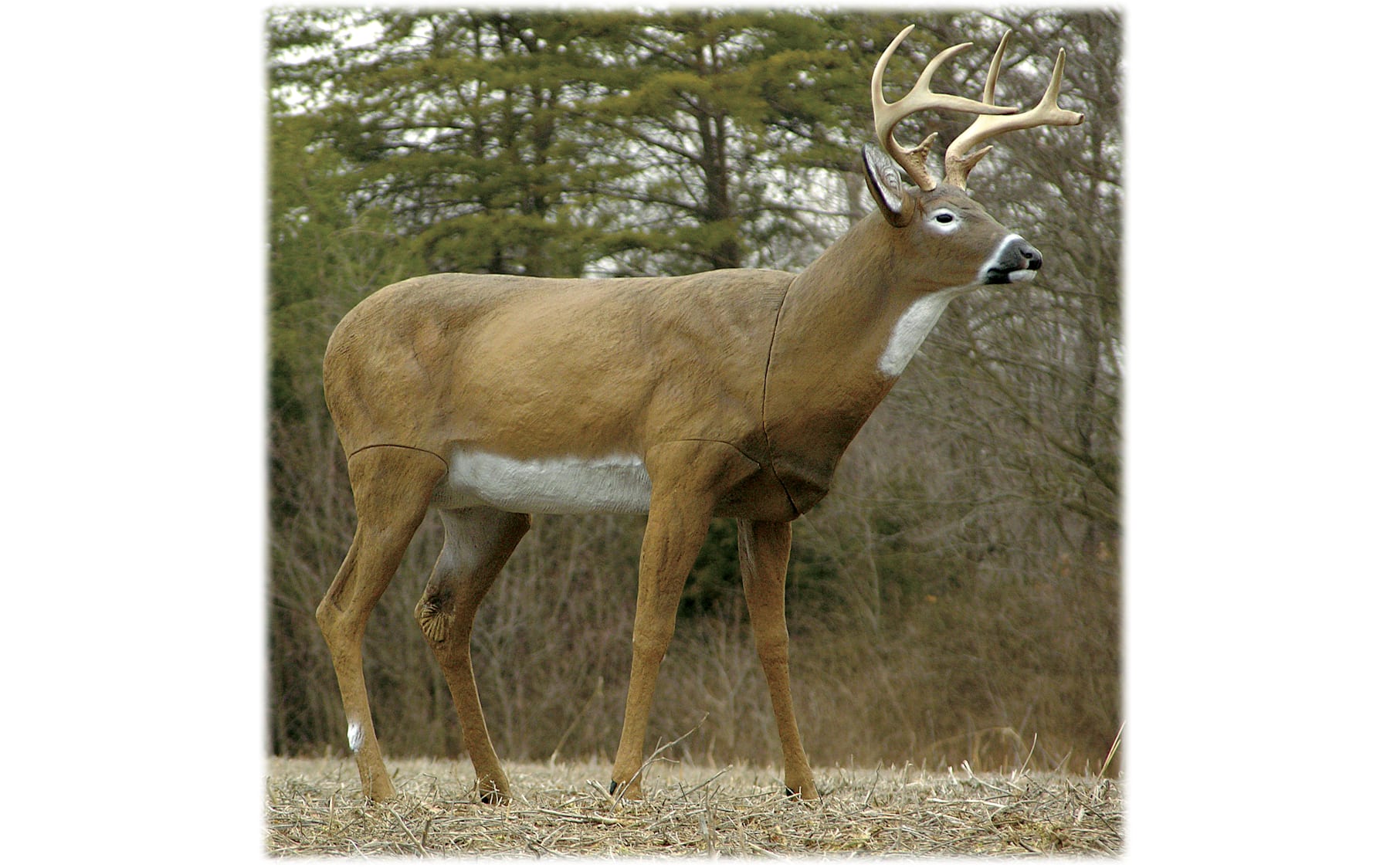 Flambeau Boss Buck Deer Decoy - Thumbnail 4