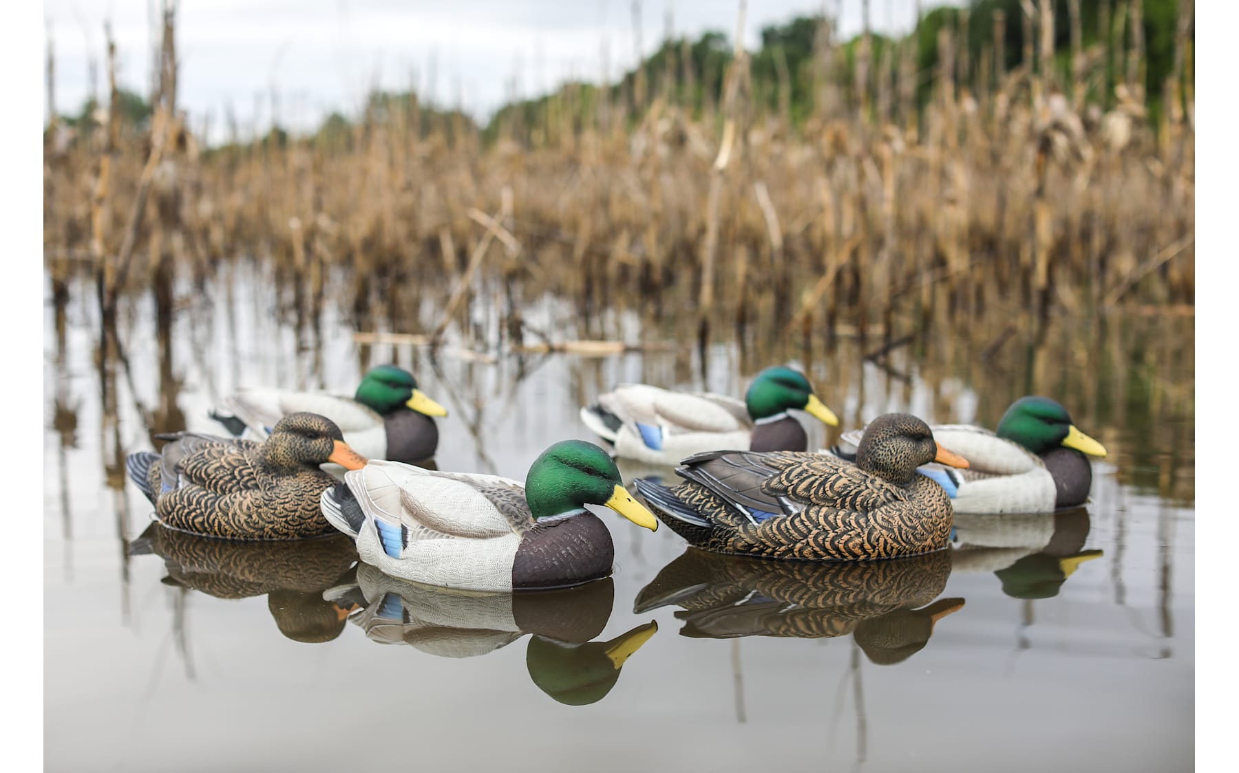 Heyday HydroFoam Duck Decoys - Thumbnail 5