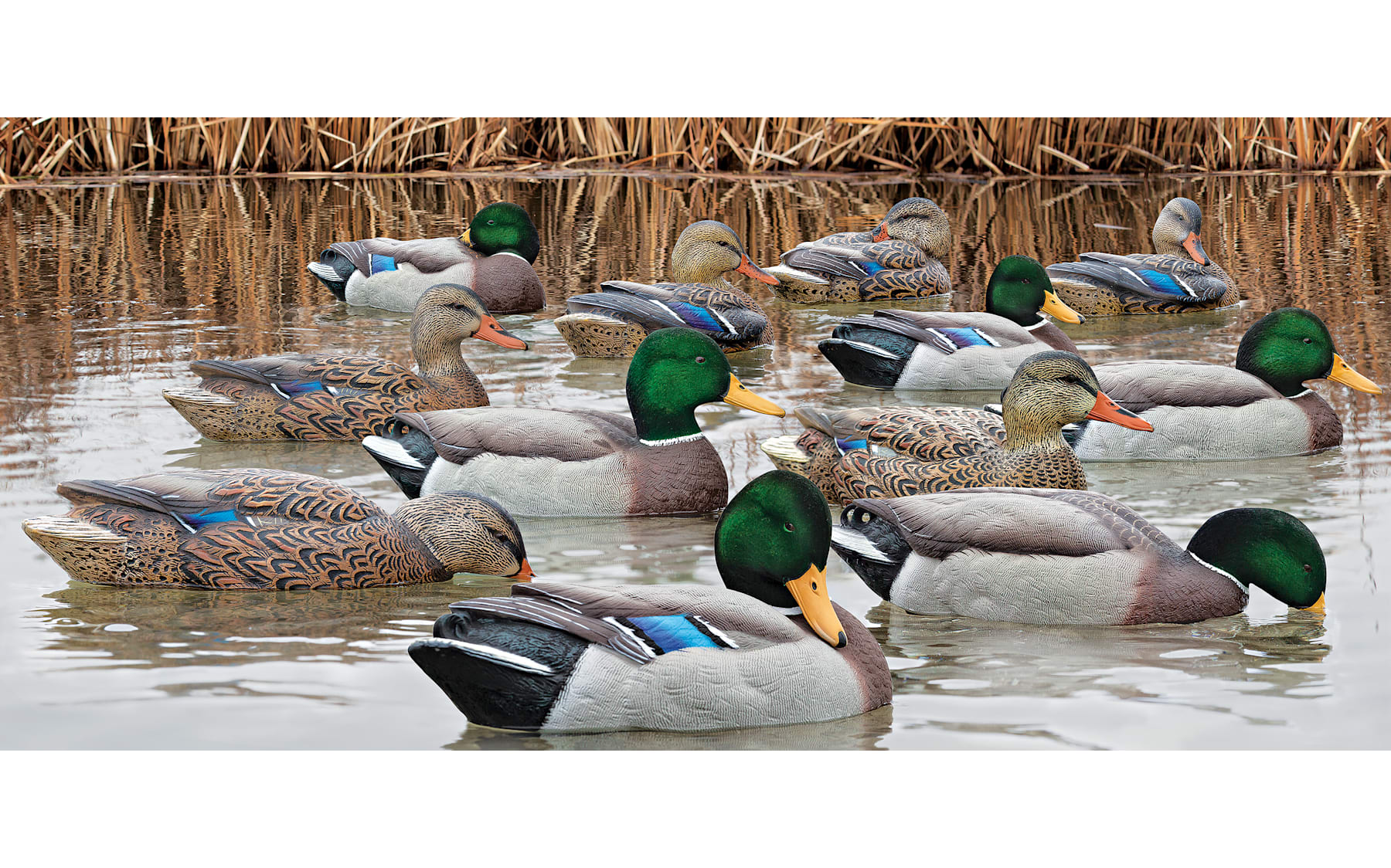 Avian-X Topflight Mallard Duck Decoys