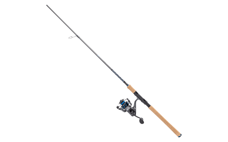Quantum Merit Spinning Combo