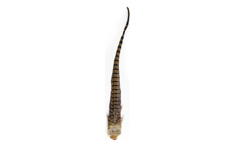 White River Fly Shop Ringneck Tail Feathers-Natural