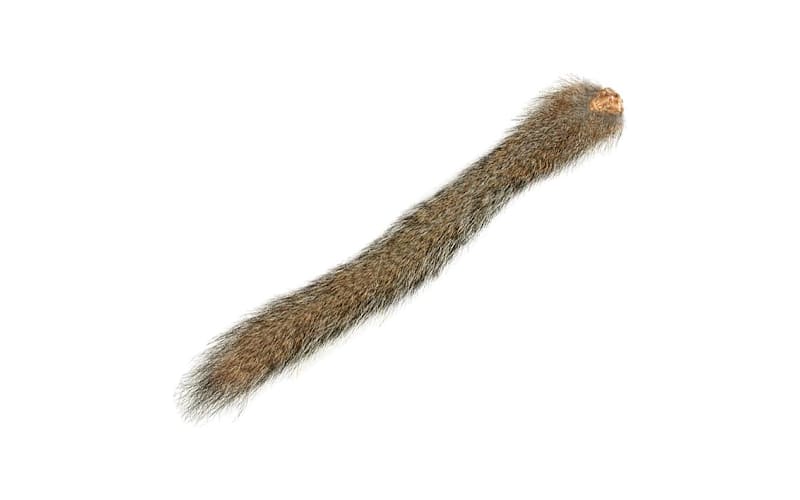 White River Fly Shop Squirrel Tail-Gray