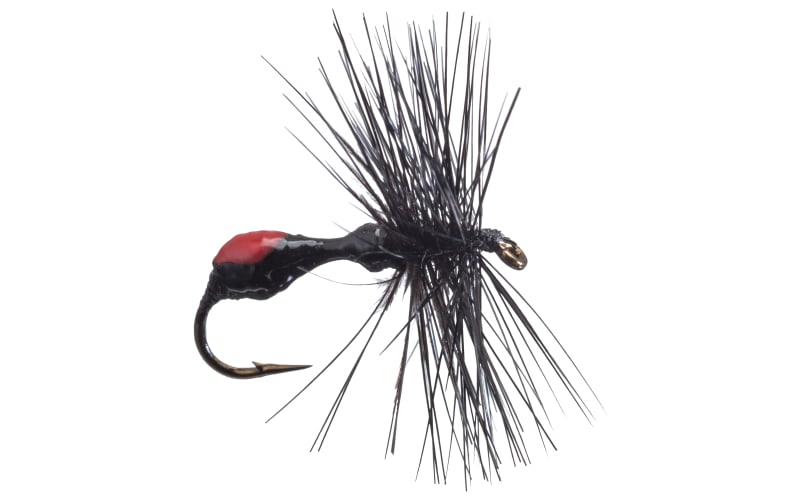 Betts Black Ant-Black/Red Dot