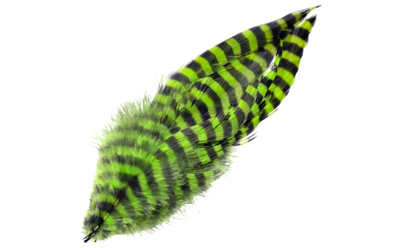 Montana Fly Company Barred Schlappen Feather-Chartreuse/Black