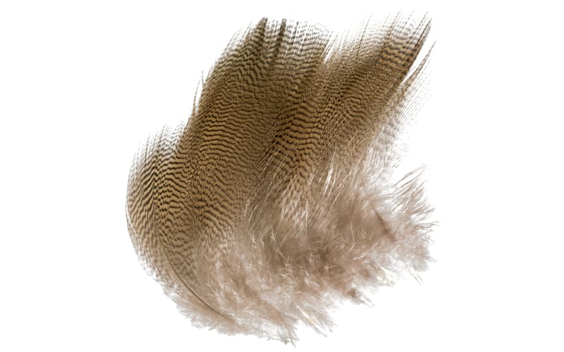Cabela's Wood Duck Feathers-Lemon Barred
