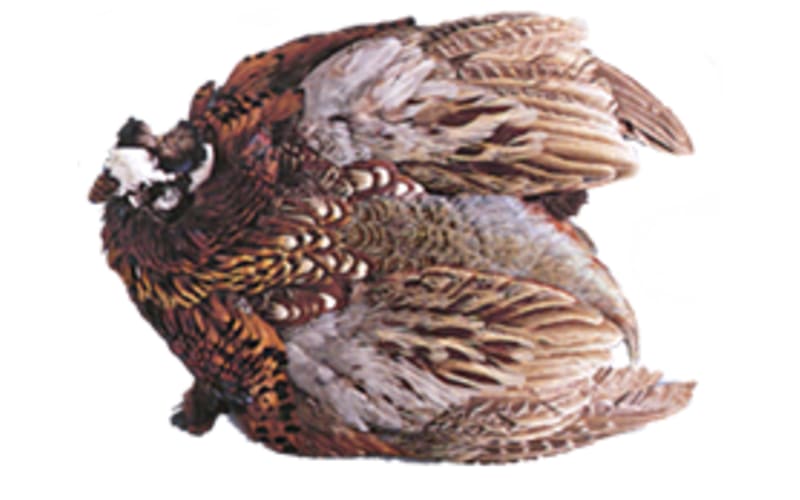 White River Fly Shop Ringneck Pheasant Skin Tying Material-Natural