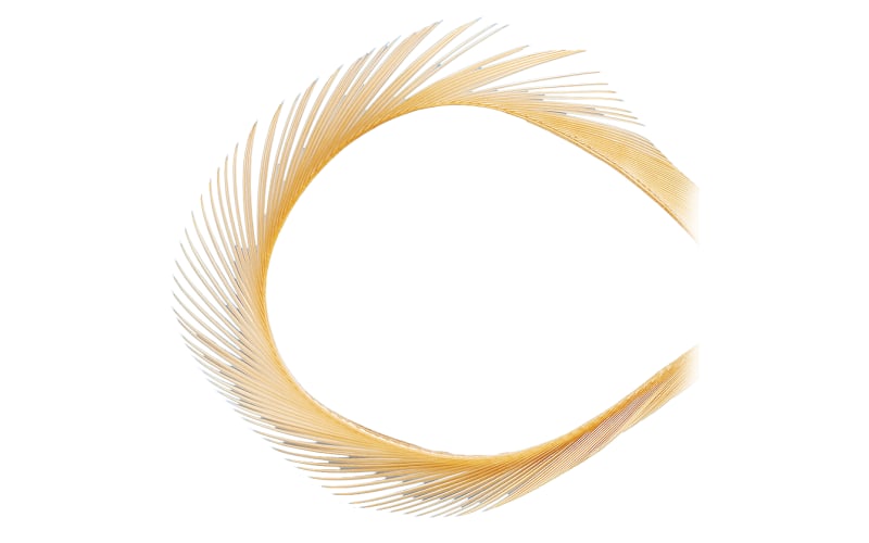 White River Fly Shop Fly-Tying Feather Goose Biots-Tan