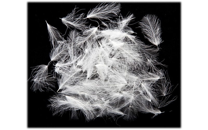 White River Fly Shop Cul de Canard Feathers-White