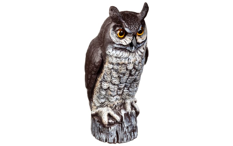 Dalen Great Horned Owl