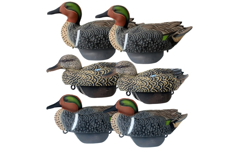 HEYDAY HydroFoam Green-Winged Teal Duck Decoys 6-Pack