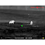 Sightmark Wraith Mini 2-16x35 Thermal Rifle Scope-Black
