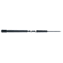 Shimano Saragosa SW/Offshore Angler Ocean Master Boat Spinning Combo