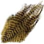 Product image image thumbnail 1