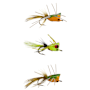 Betts Frugal Frog Popper Assortment - 3 Pack