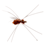 Product image image thumbnail 1