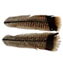 White River Fly Shop Ozark Turkey Tail Feathers-Cinnamon Tip