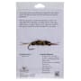 Flymen Fishing Company Evolution Stonefly Prince Nymph Fly Tying Kit