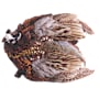 Product image image thumbnail 1