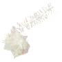 Product image image thumbnail 1