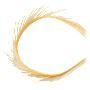 White River Fly Shop Fly-Tying Feather Goose Biots-Tan