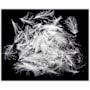 White River Fly Shop Cul de Canard Feathers-White