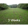 Field Tuff 3-Point 10-Row Crop Seeder