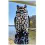 Dalen Great Horned Owl