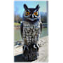 Product image image thumbnail 4