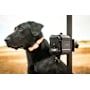 Product image image thumbnail 4