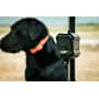 Avery Sporting Dog No Break System-Black