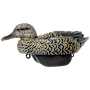 HEYDAY HydroFoam Green-Winged Teal Duck Decoys 6-Pack