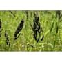 Product image image thumbnail 3