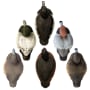 Higdon Standard Foam-Filled Diver Duck Decoy 6 Pack